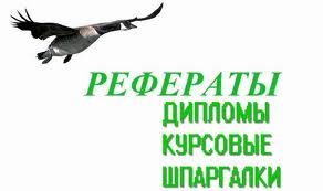 Качество решений